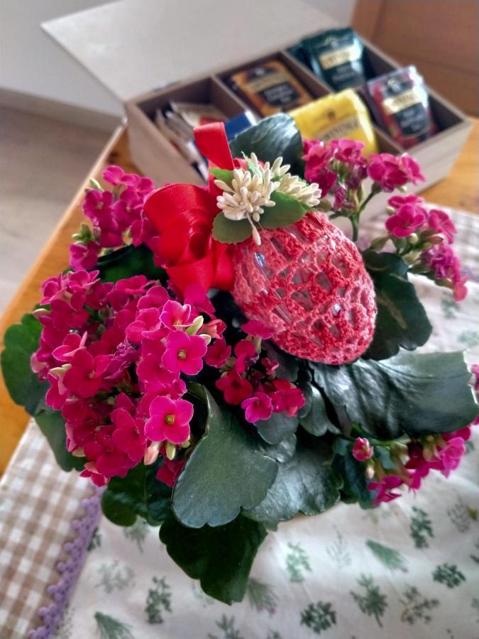 Antico Melo B&B Vignole ภายนอก รูปภาพ