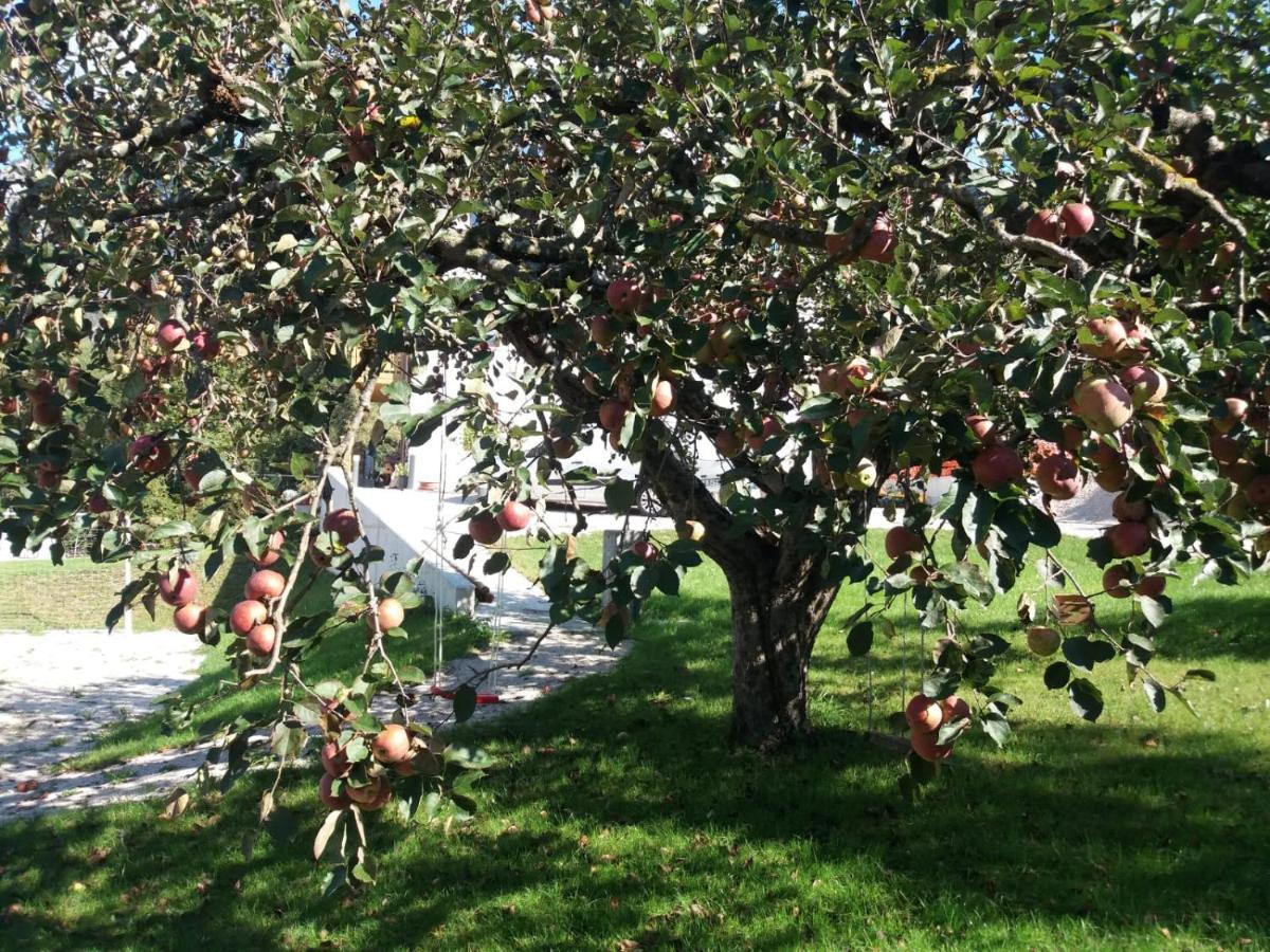 Antico Melo B&B Vignole ภายนอก รูปภาพ