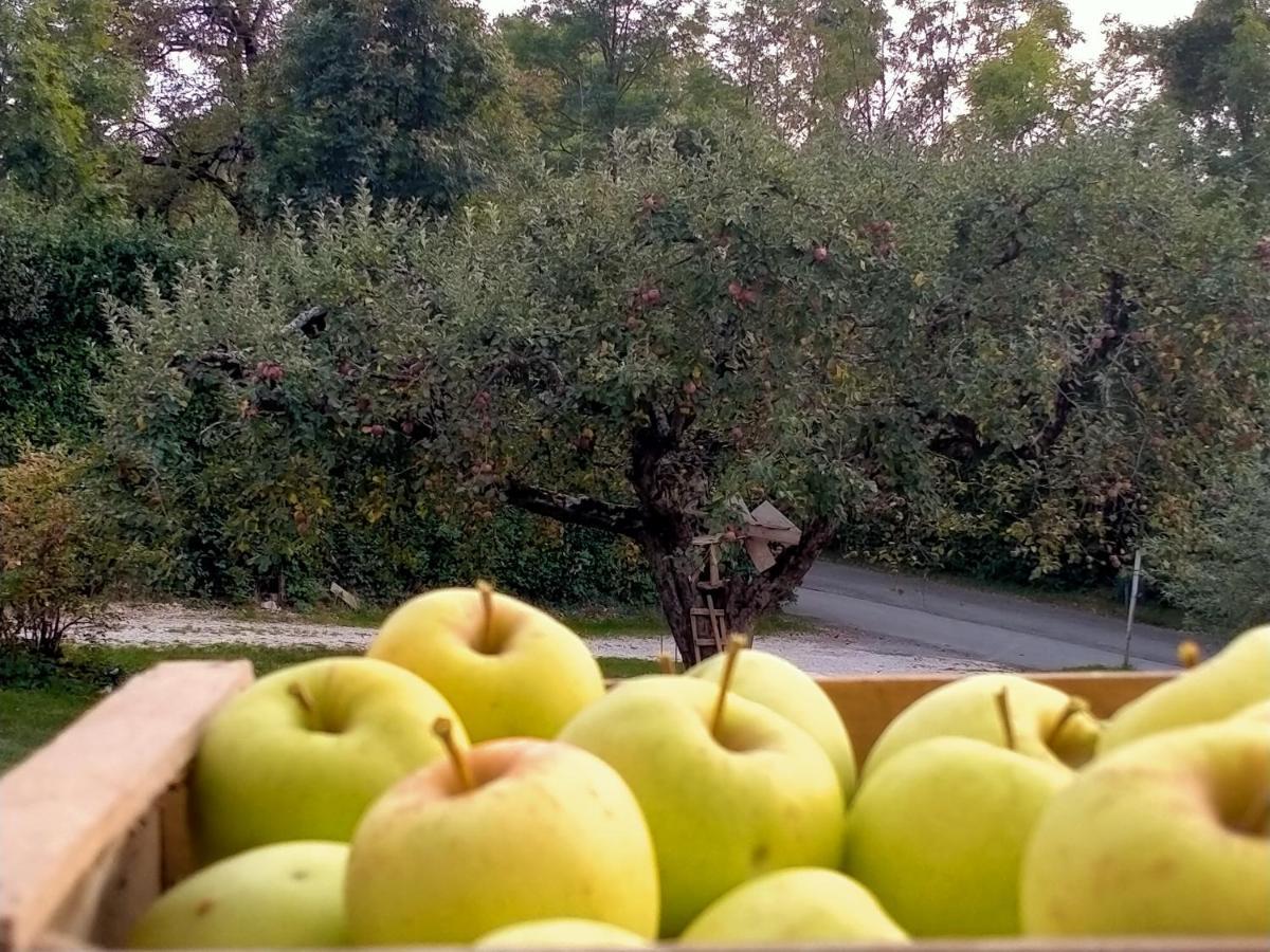 Antico Melo B&B Vignole ภายนอก รูปภาพ